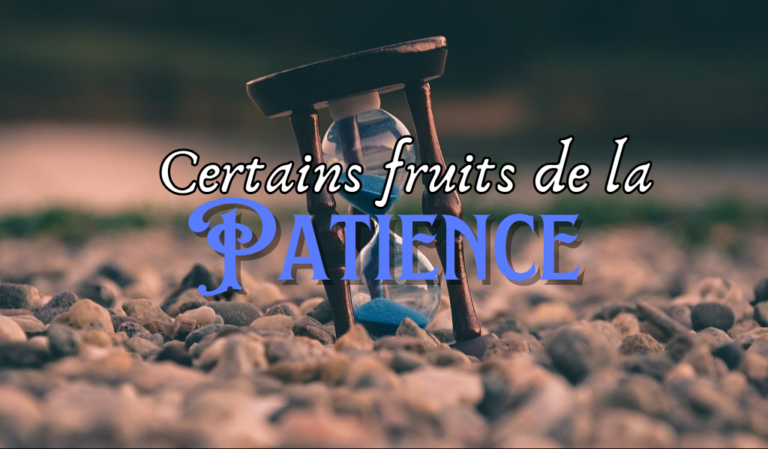 Certains fruits de la patience